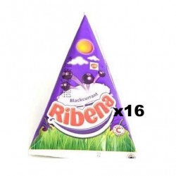 Ribena 450ml x 12 (Wholesale)