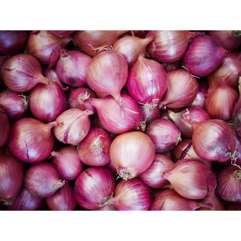 Onions ( Bulk ) 