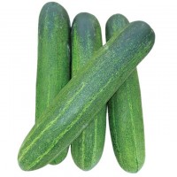 Cucumber (x4) 