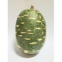 Christmas Melon (ITAGIRI)